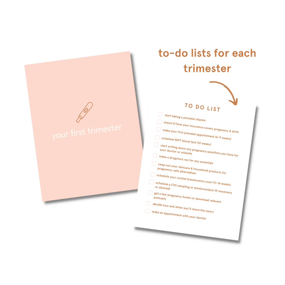 Pregnancy Bullet Journal and Calendar  E-Book