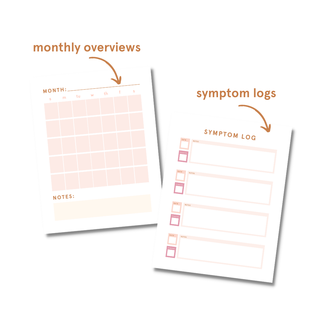 Pregnancy Bullet Journal and Calendar  E-Book